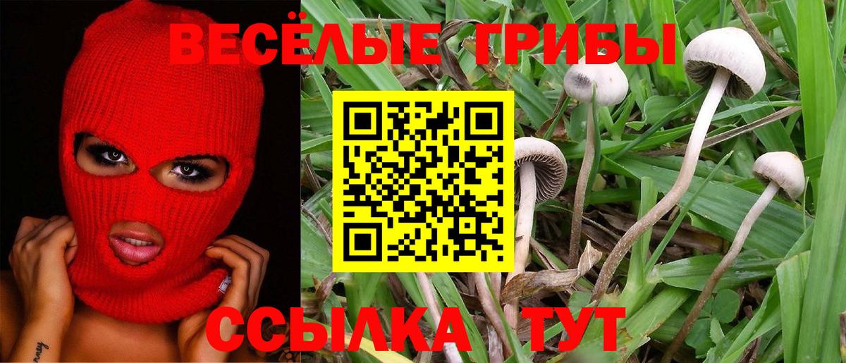 Архангельск  Псилоцибиновые грибы мухоморы  Вход с VPN  наркота  Псилоцибиновые грибы мицелий 